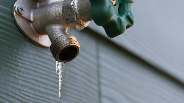 Best Plumbing Inspection Services  in Blakely, PA